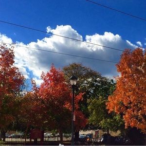 Meet your Posher, Kat